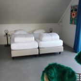 Woonslaapkamer - Wohnschlafzimmer